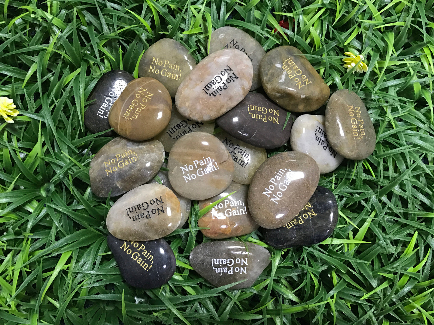 Etched Inspirational River Rock No Pain No Gain